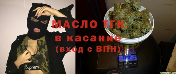индика Бронницы