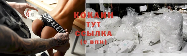 индика Бронницы