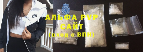 индика Бронницы
