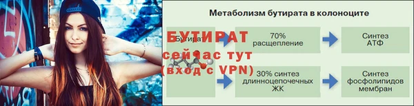 индика Бронницы