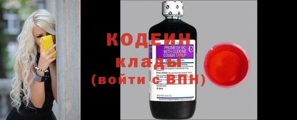 тгк Бородино