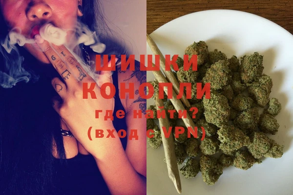 индика Бронницы