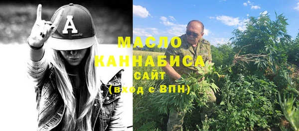 индика Бронницы