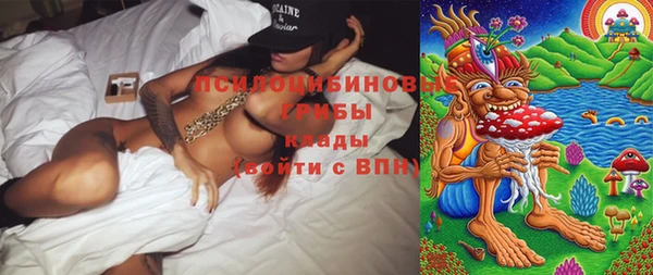 индика Бронницы