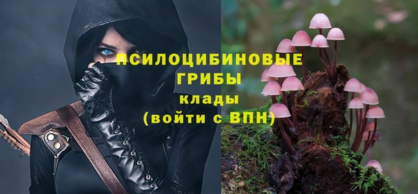 тгк Бородино
