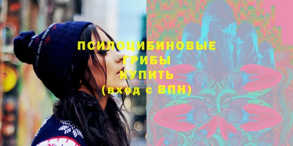 тгк Бородино