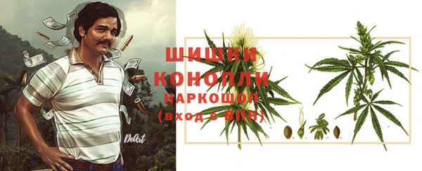 индика Бронницы