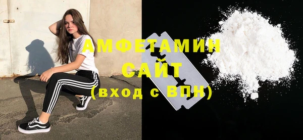 тгк Бородино