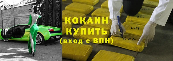 тгк Бородино