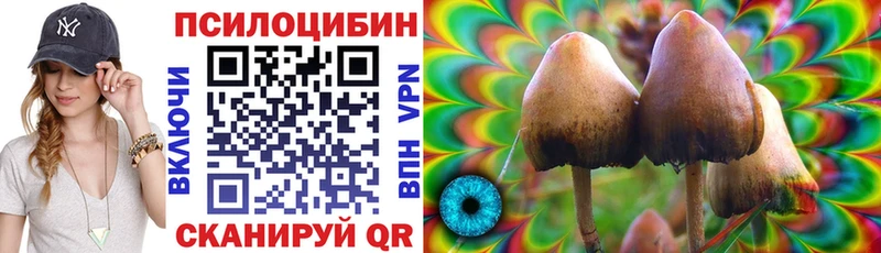 Галлюциногенные грибы Psilocybe кракен зеркало Эртиль