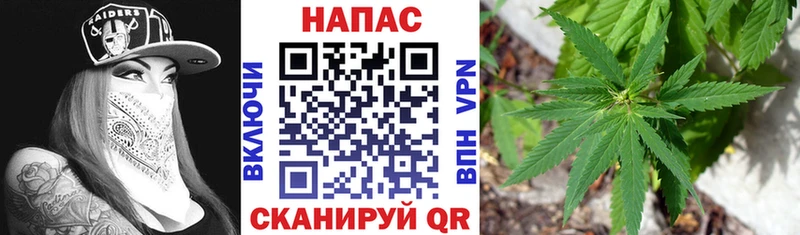 даркнет официальный сайт  Эртиль  Бошки Шишки планчик  где купить наркоту 
